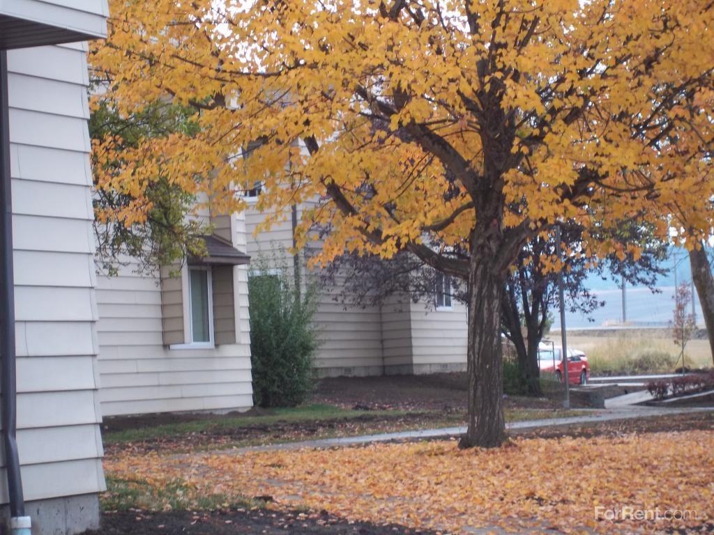 Mountain View Apartments - Photo 3 of 14