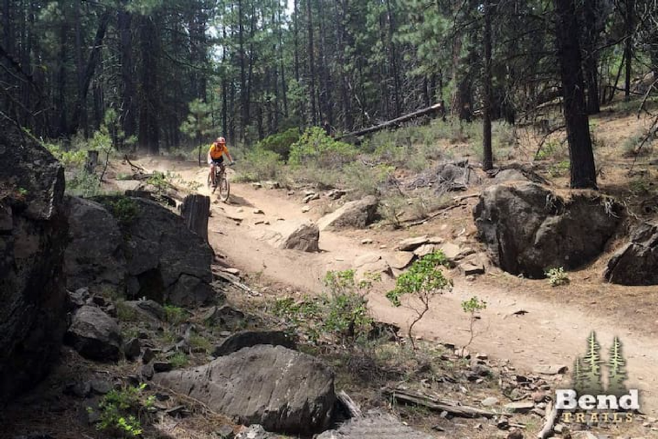 Sw Hollygrape St - Photo 7 of 23