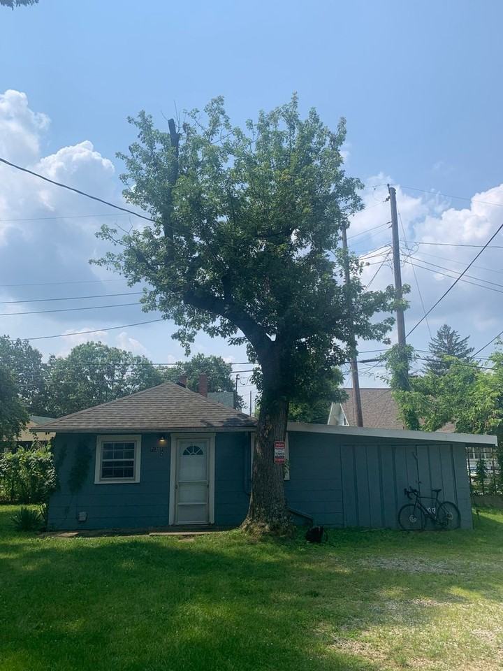 712 1/2 E Cottage Grove Ave - Photo 2 of 13