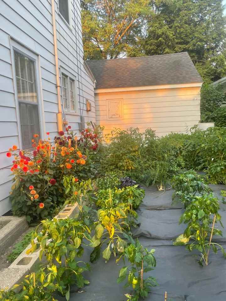 1215 Farwell Dr - Photo 4 of 20