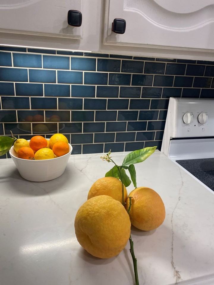 1852 Leisure World - Photo 7 of 27