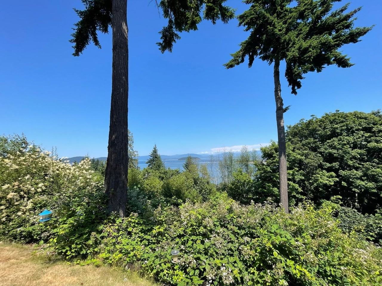 4210 Blue Heron Cir #B - Photo 3 of 29