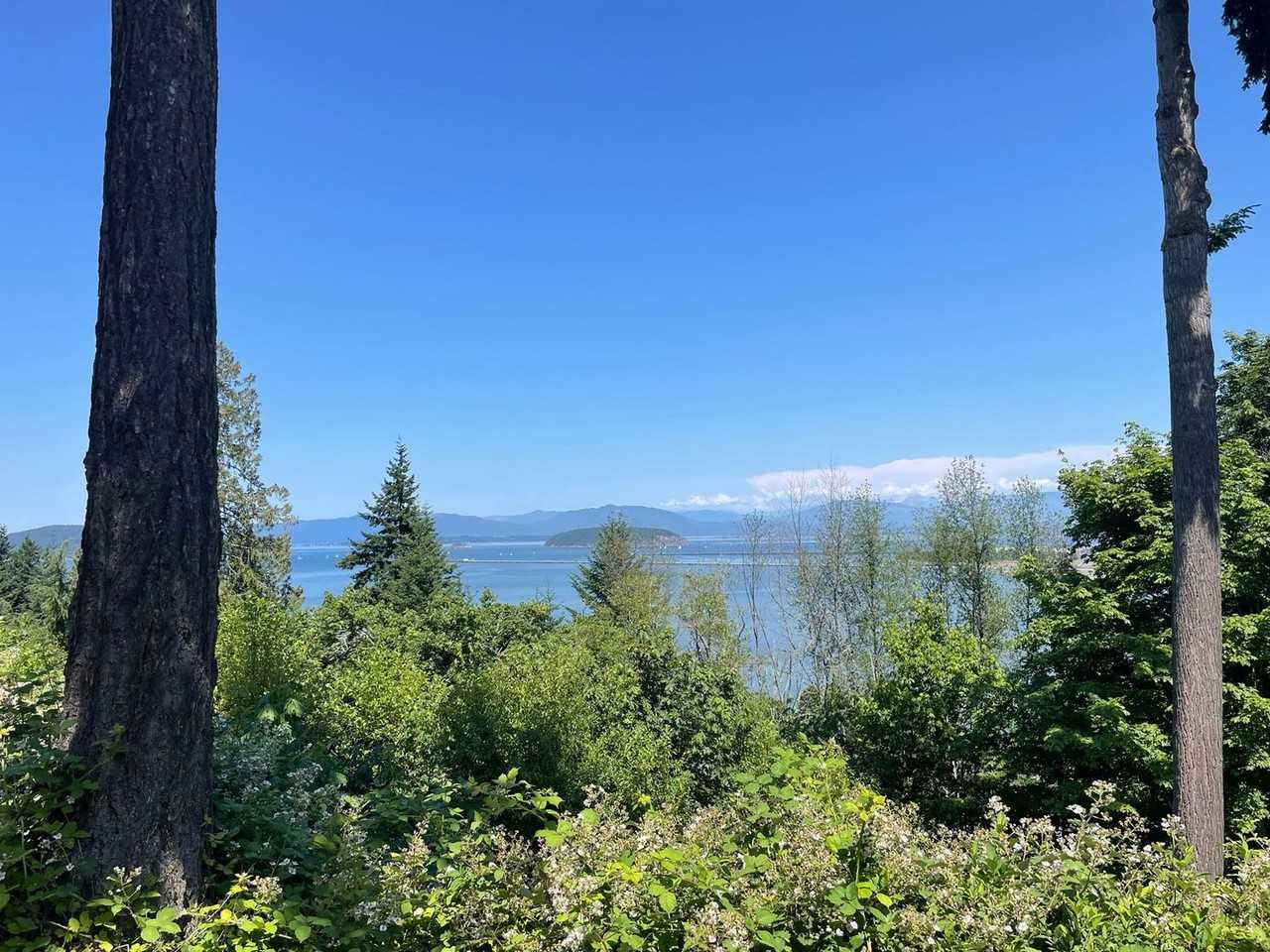 4210 Blue Heron Cir #B - Photo 4 of 29