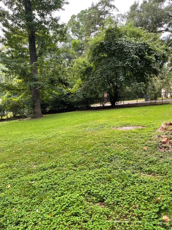 2427 Pearl St - Photo 6 of 10