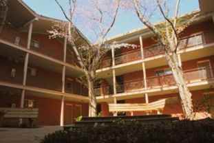 250 Little St Apt D207 - Photo 1 of 1