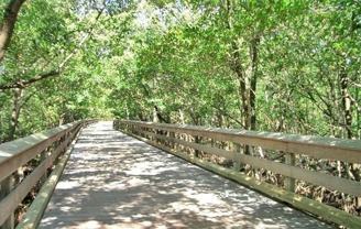 5635 Turtle Bay Dr #6 - Photo 1 of 1