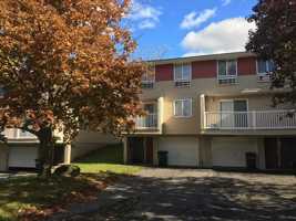 featured image of Robert Dr