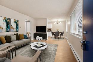 The Woods - Photo 1 of 1