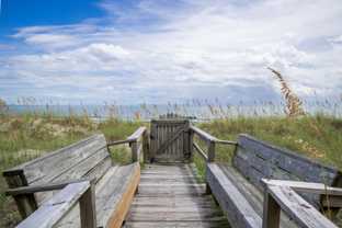 403 Purple Pelican @ 403 Carolina Beach Ave S - Photo 1 of 1