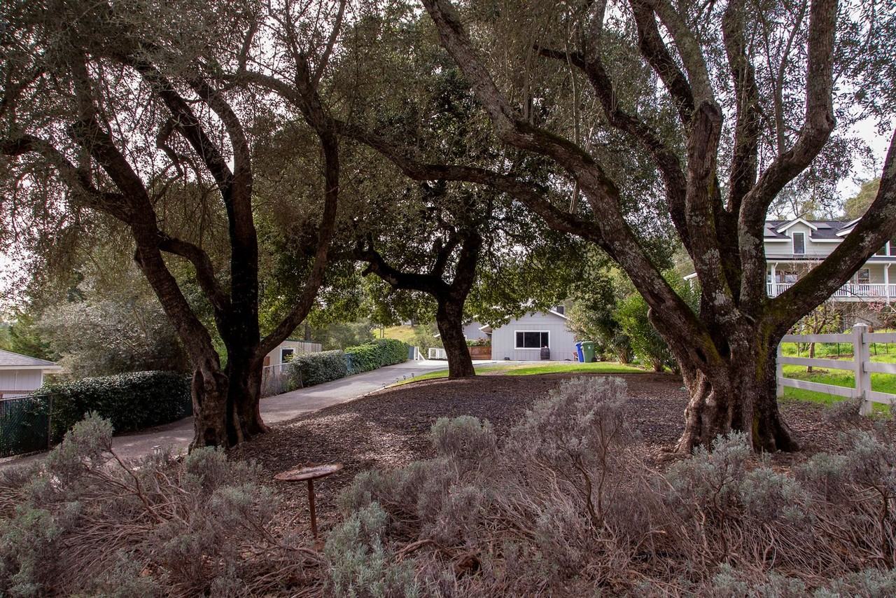 536 Linda Falls Ter - Photo 2 of 23