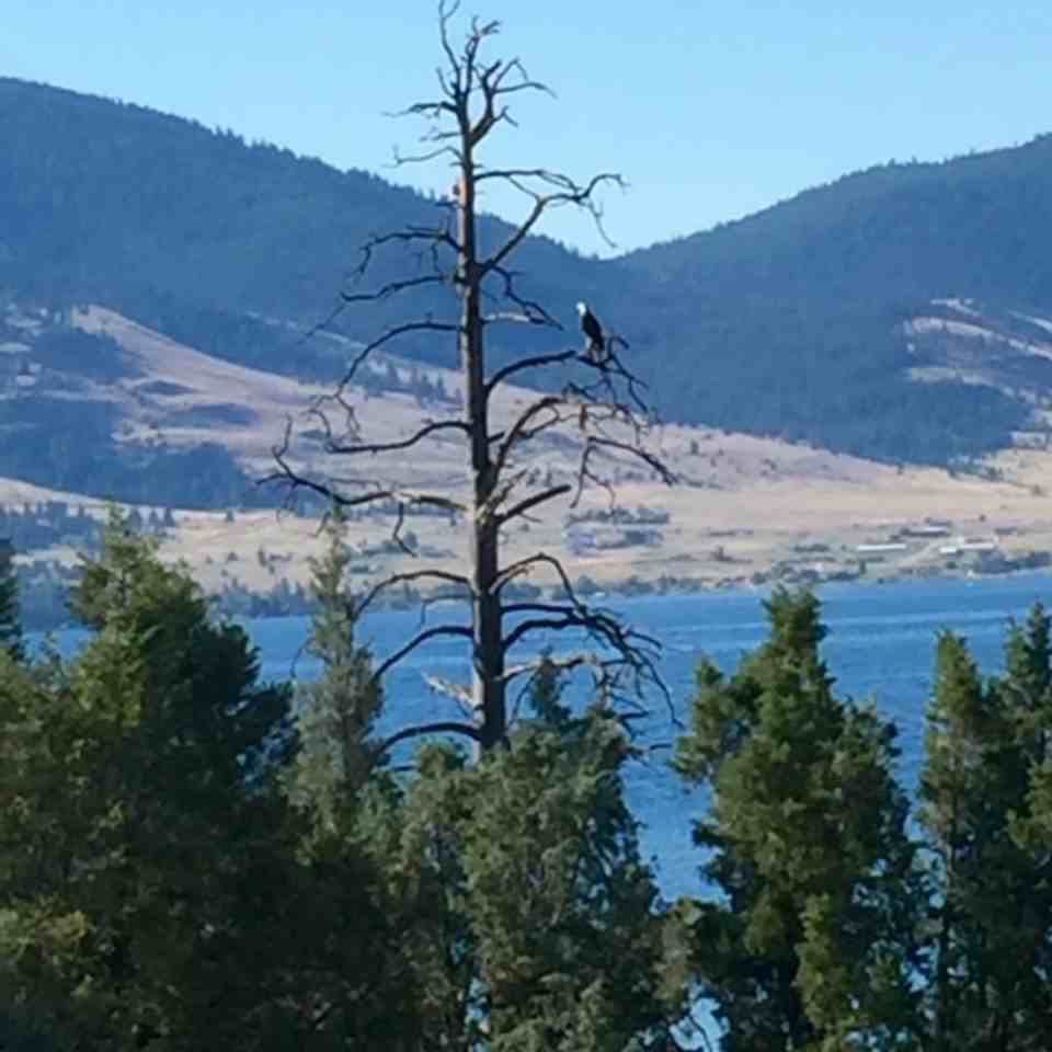 27096 Us Highway 93 - Photo 2 of 50