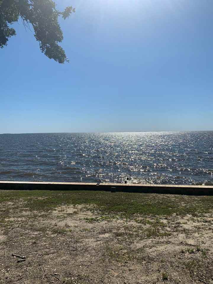 216 Griggs Acres Dr - Photo 2 of 32