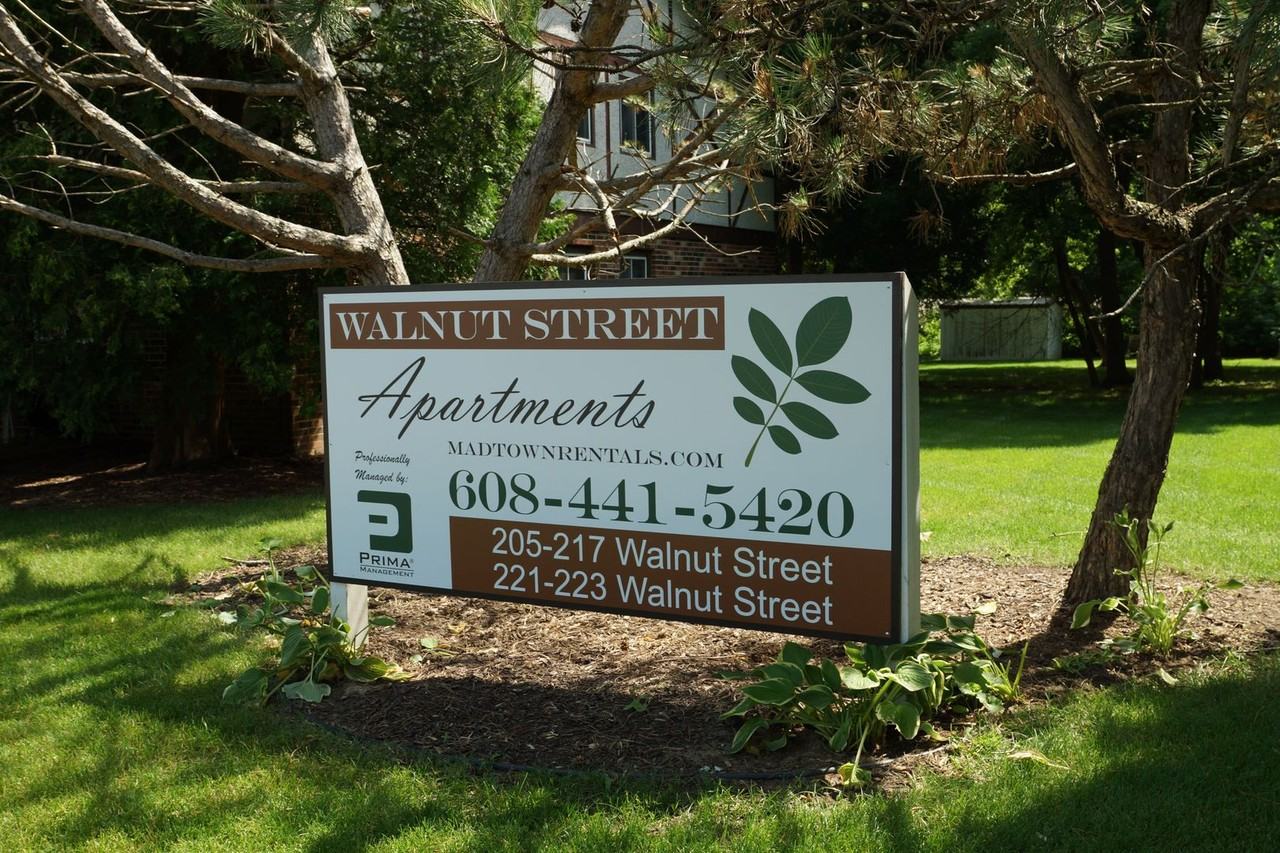 205-233 Walnut Street - Photo 6 of 49