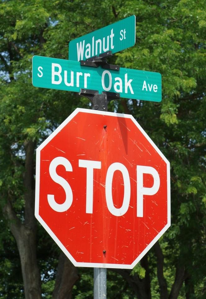 205-233 Walnut Street - Photo 7 of 29