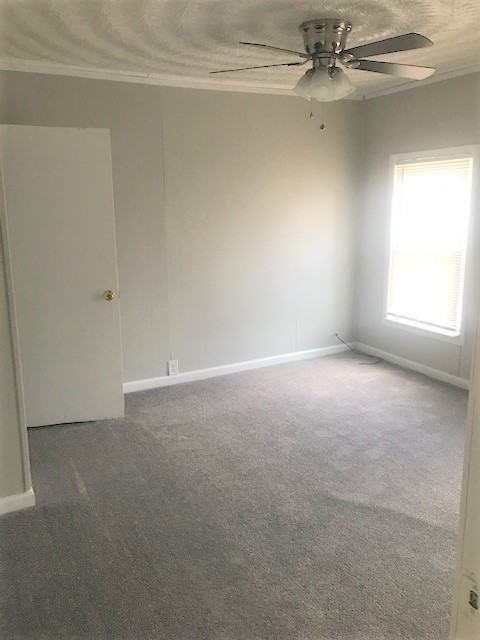 1264 W 37th St - Photo 6 of 9
