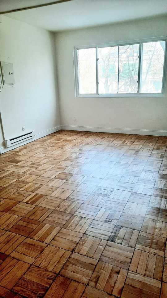 4004 36th St #302 - Photo 5 of 13