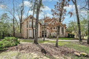 featured image of 67 N Skyflower Ct