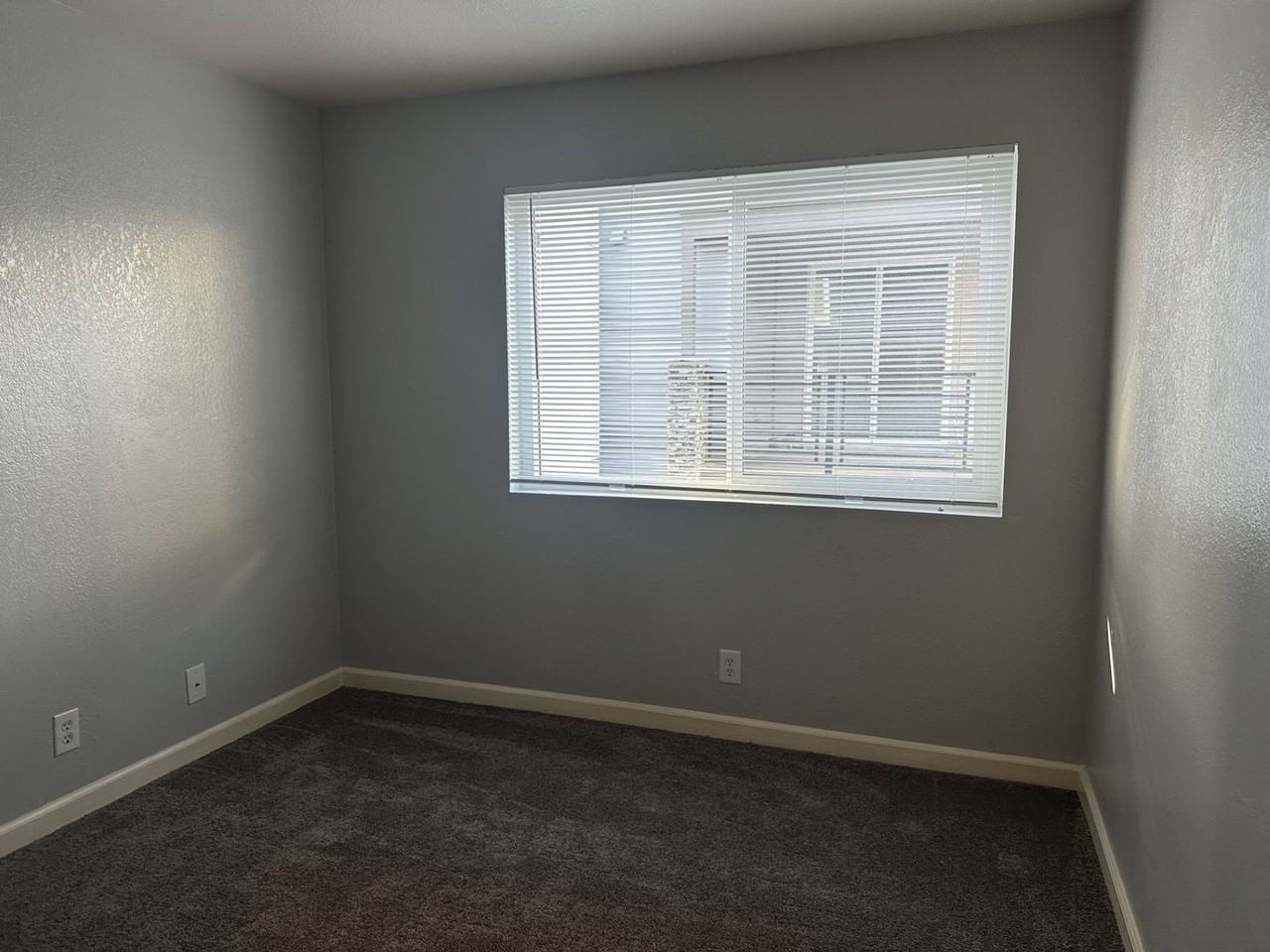 29536 Dixon St #3 - Photo 5 of 9