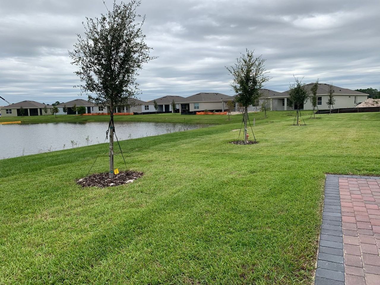 17841 Blazing Star Cir - Photo 3 of 21
