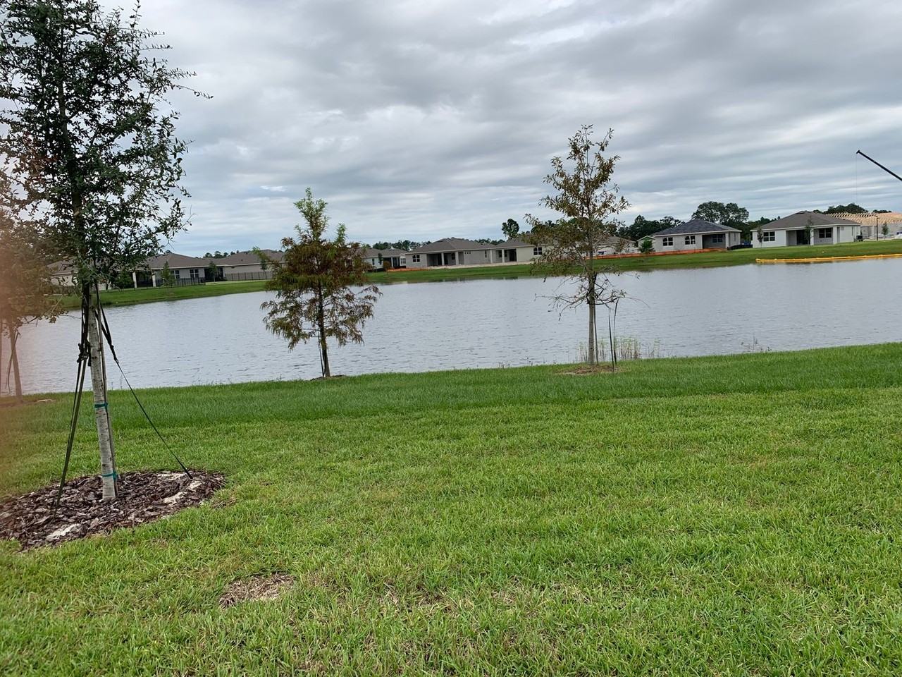 17841 Blazing Star Cir - Photo 4 of 21