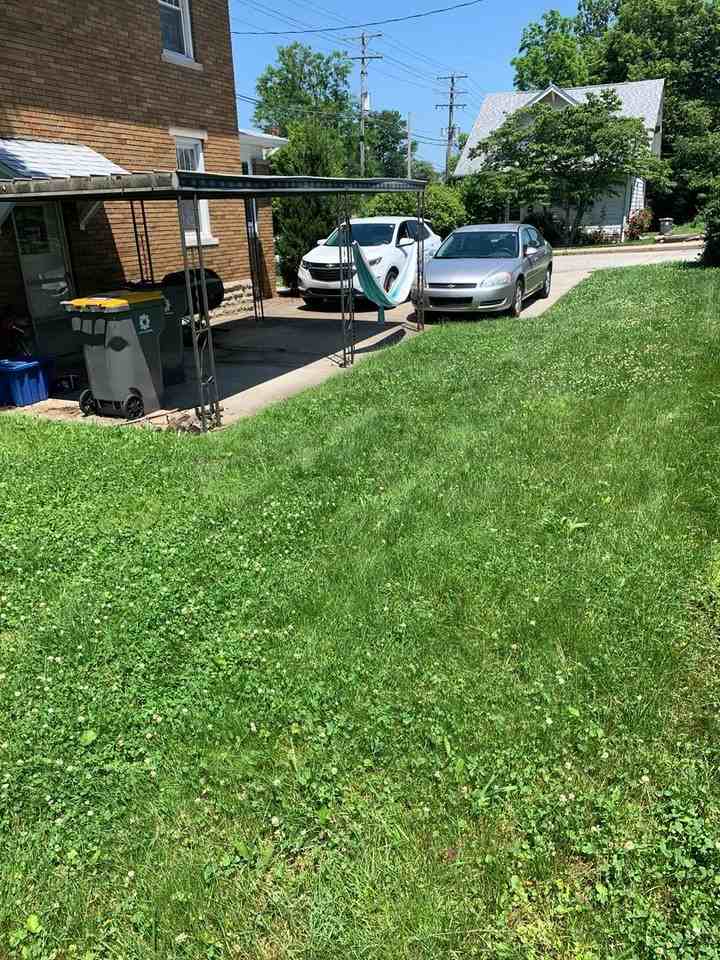 114 E 1st St - Photo 6 of 25