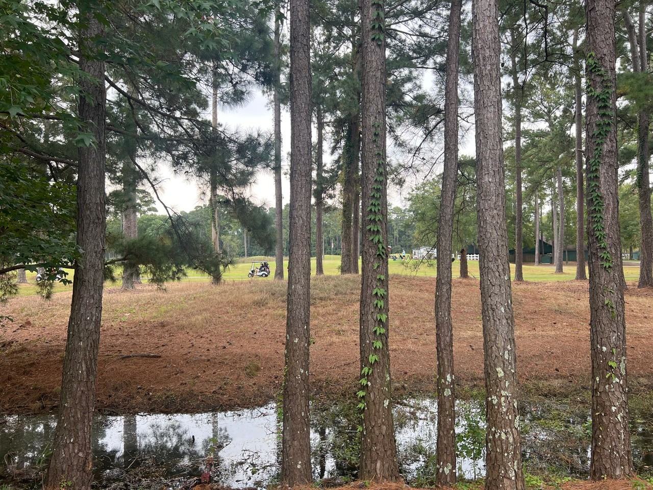 281 Connemara Dr - Photo 4 of 21