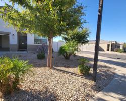featured image of 11571 E Verbina Ln