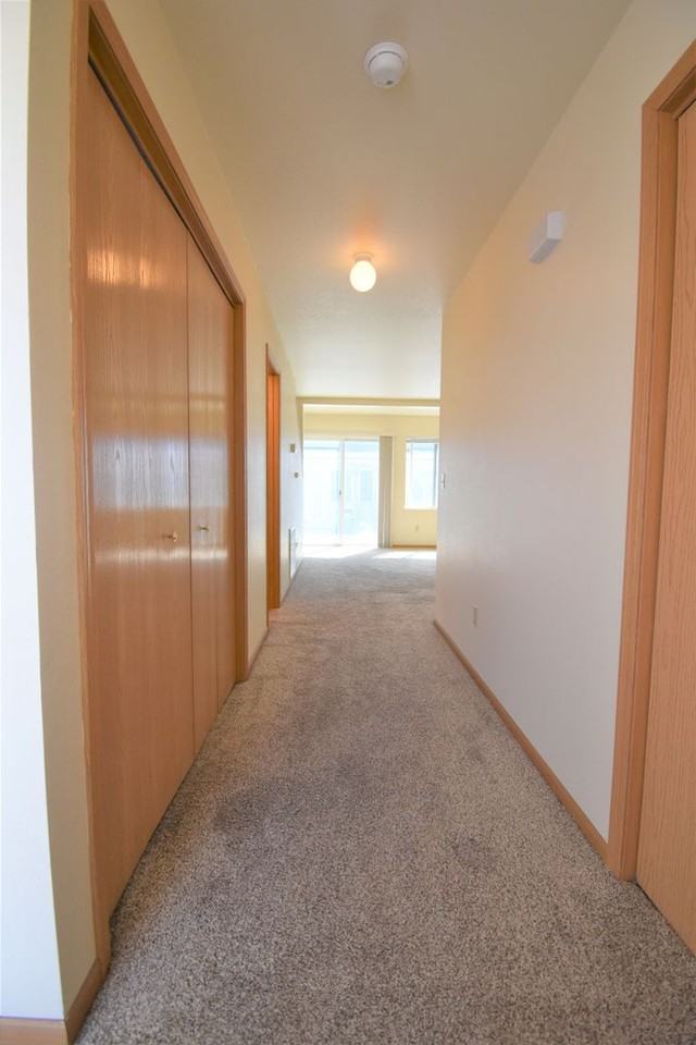 2431 Wheeler Dr - Photo 4 of 22