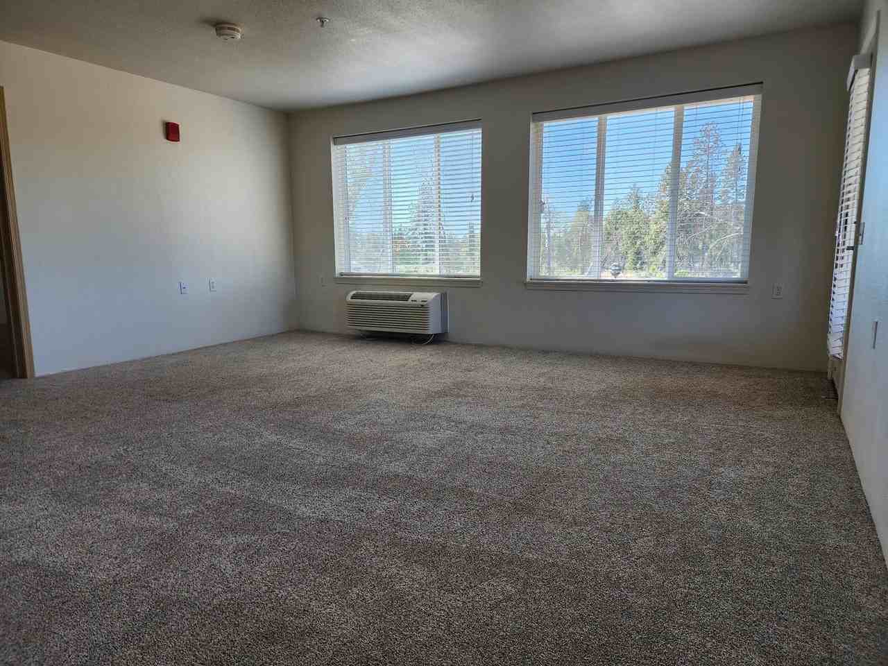 Paradise Boutique Apartments - Photo 5 of 19