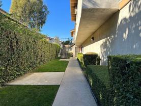 11751 11751 Colima Road - 11751 B - Photo 1 of 1