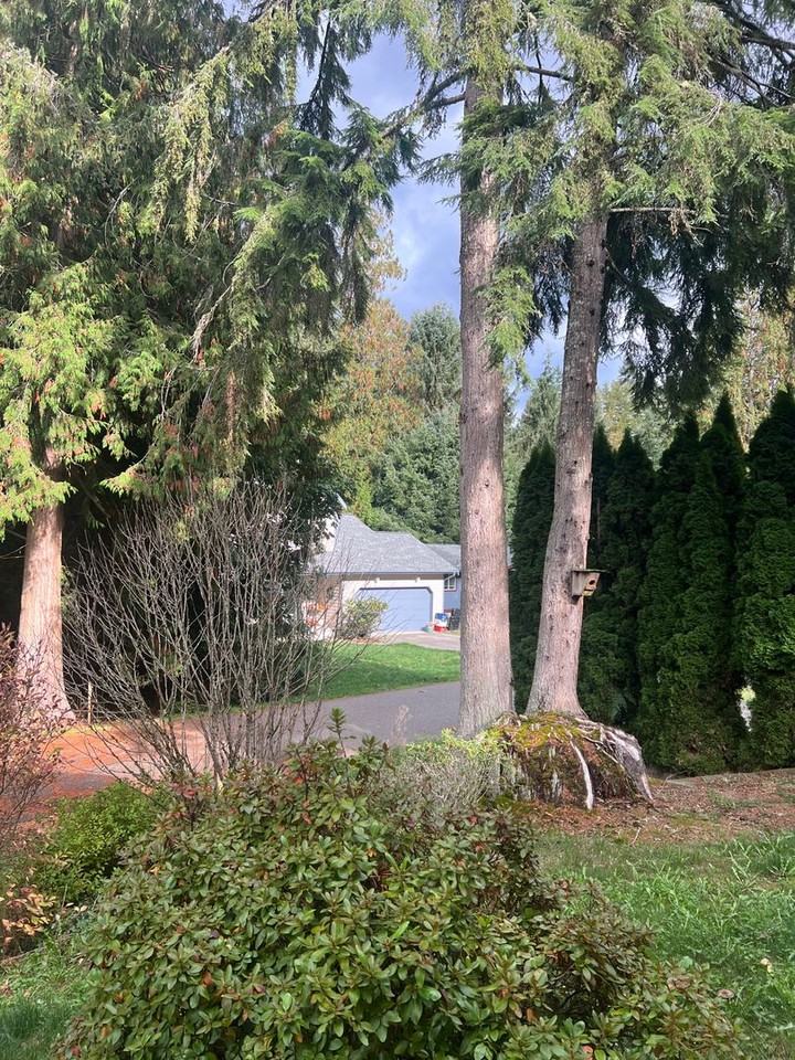 15 Sunnyside Ln - Photo 3 of 21