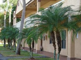 11552 Nw 39th St - Photo 1 of 1