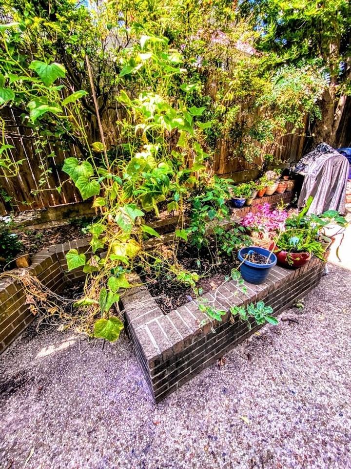 1808 Rio Grande St - Photo 6 of 50