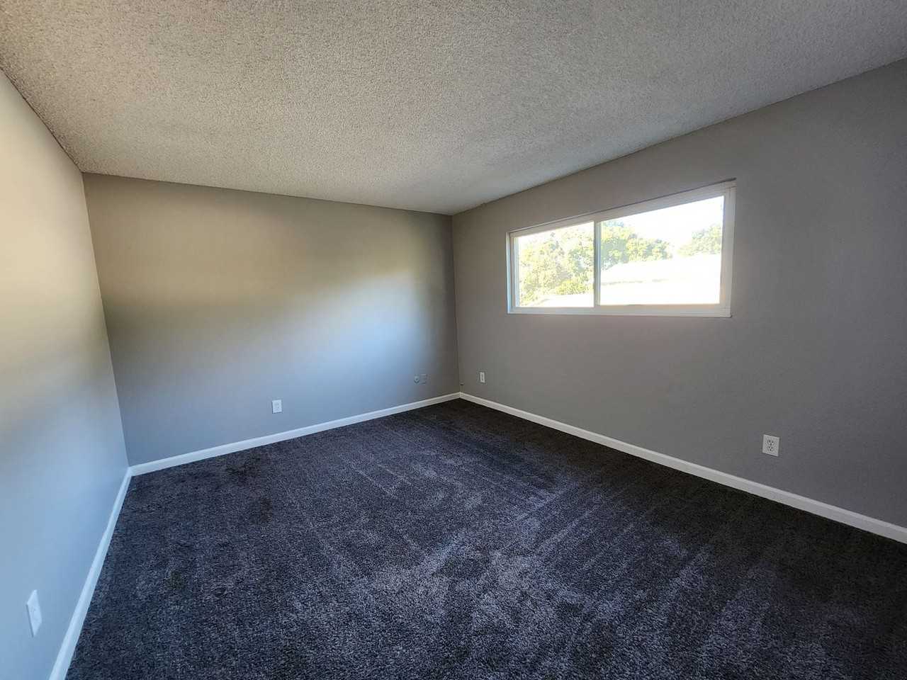 8613 La Riviera Dr #C - Photo 7 of 8