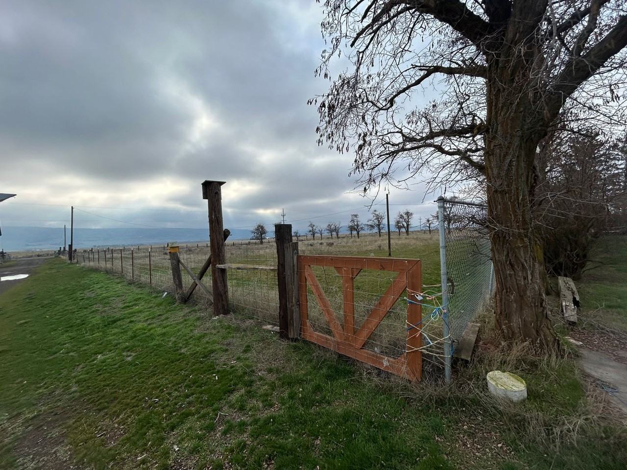 1167 Bickleton Hwy - Photo 3 of 18