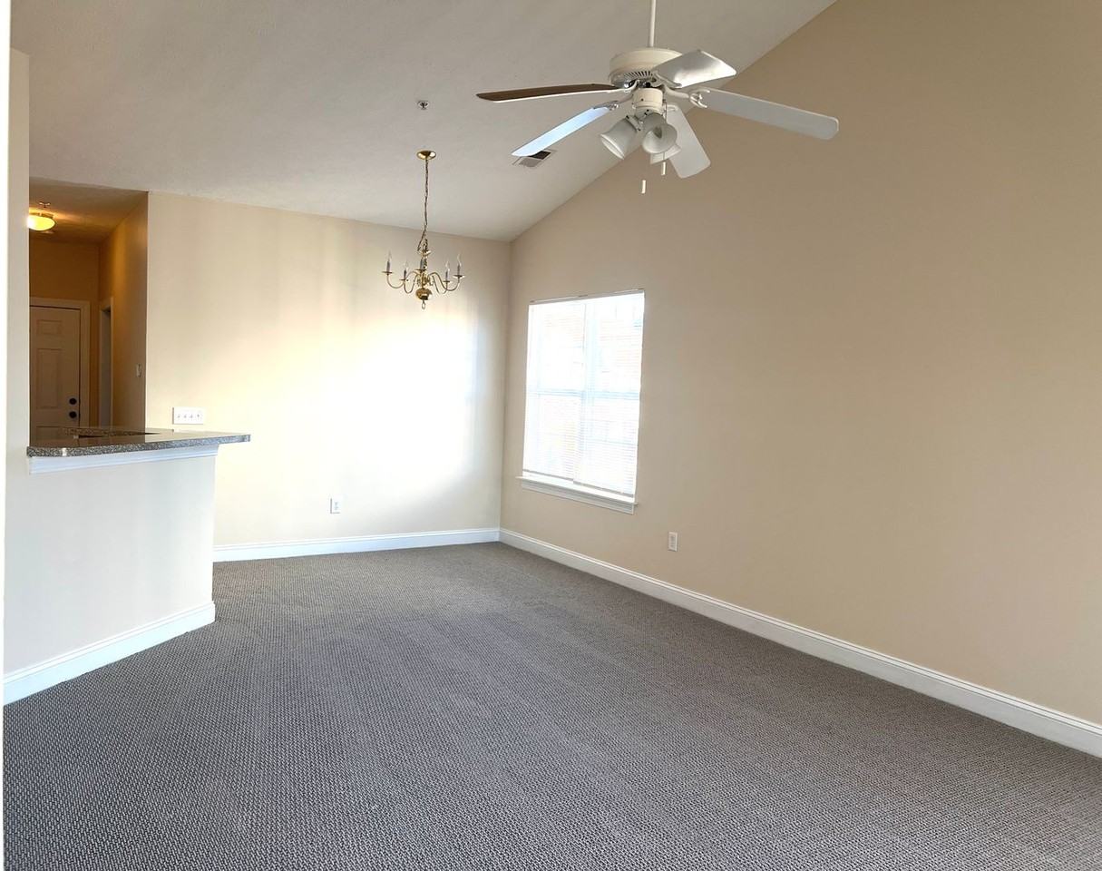 114 Fountain Pointe Ln - Photo 4 of 17
