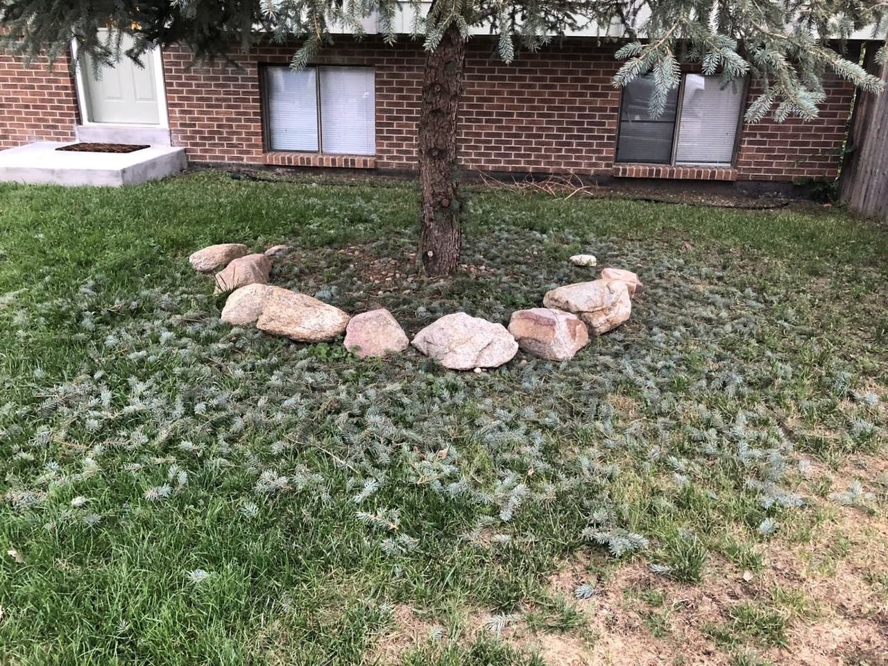 290 Kattell St - Photo 2 of 31