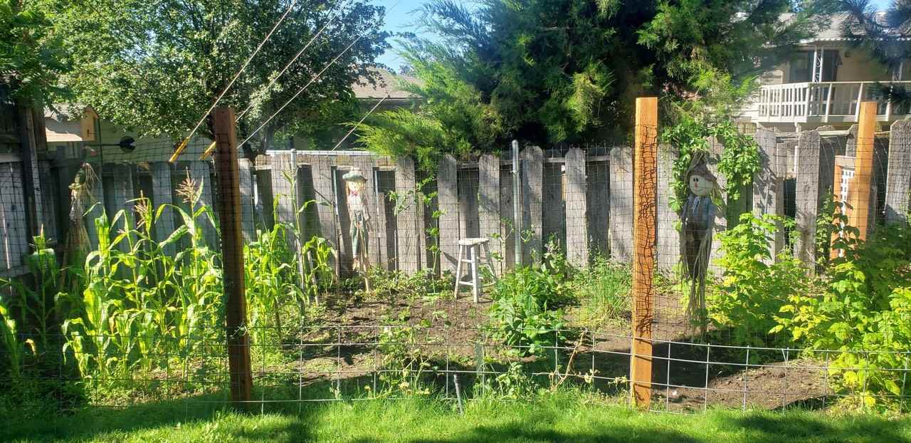 2605 W Woodside Ave - Photo 3 of 18