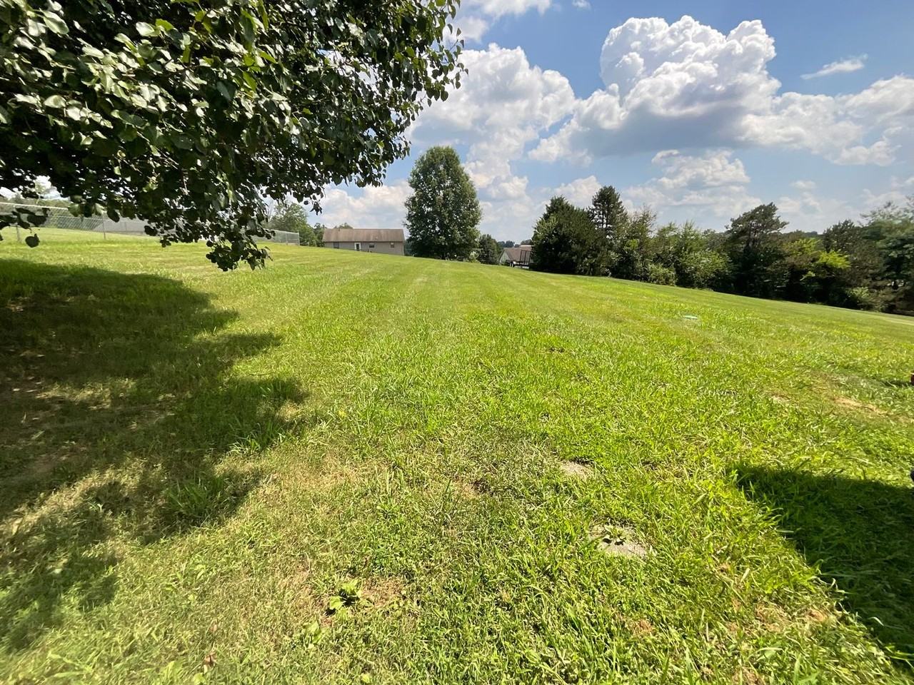 5556 Denton Dr - Photo 3 of 24