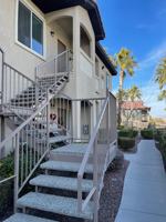 featured image of 3395 3395 Cactus Shadow  - 3395 Cactus Shadow #201