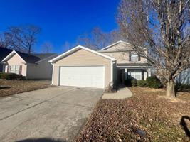 featured image of 223 Julian Pond Ln