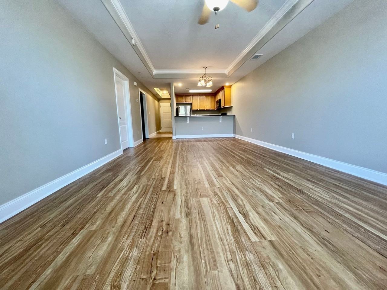 251 Mattie M Kelly Blvd - Photo 3 of 16