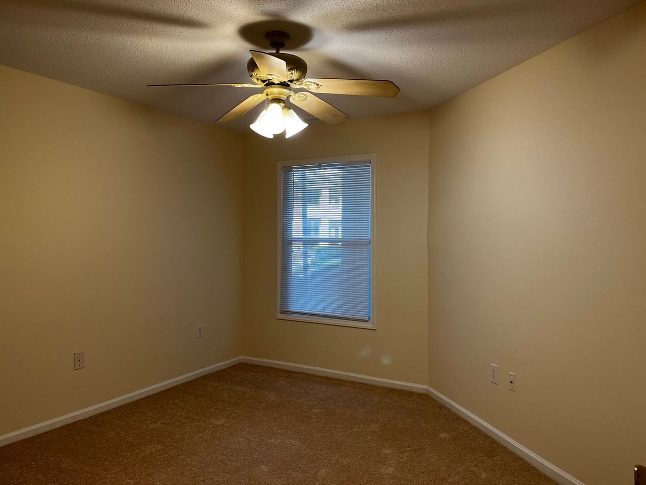 1141 Turtle Creek Rd #C - Photo 5 of 22
