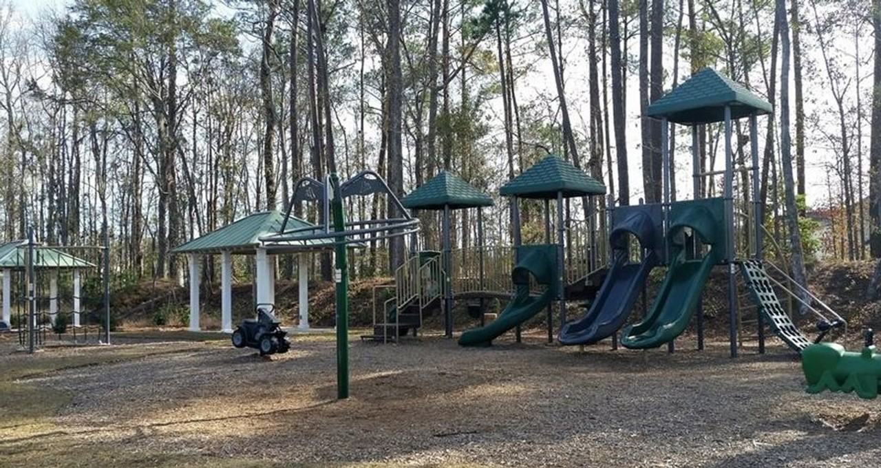 230 Lake Lily Dr - Photo 3 of 7