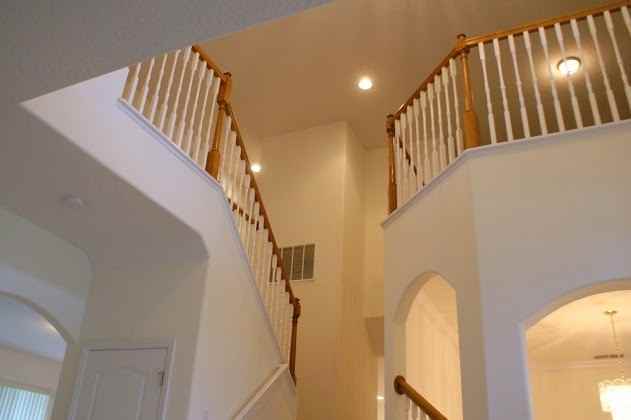 3113 Twisted Oak Loop - Photo 3 of 13