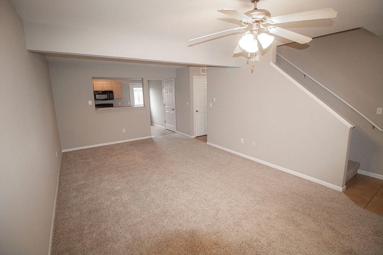 206 Arctic Wolf Ct - Photo 4 of 38