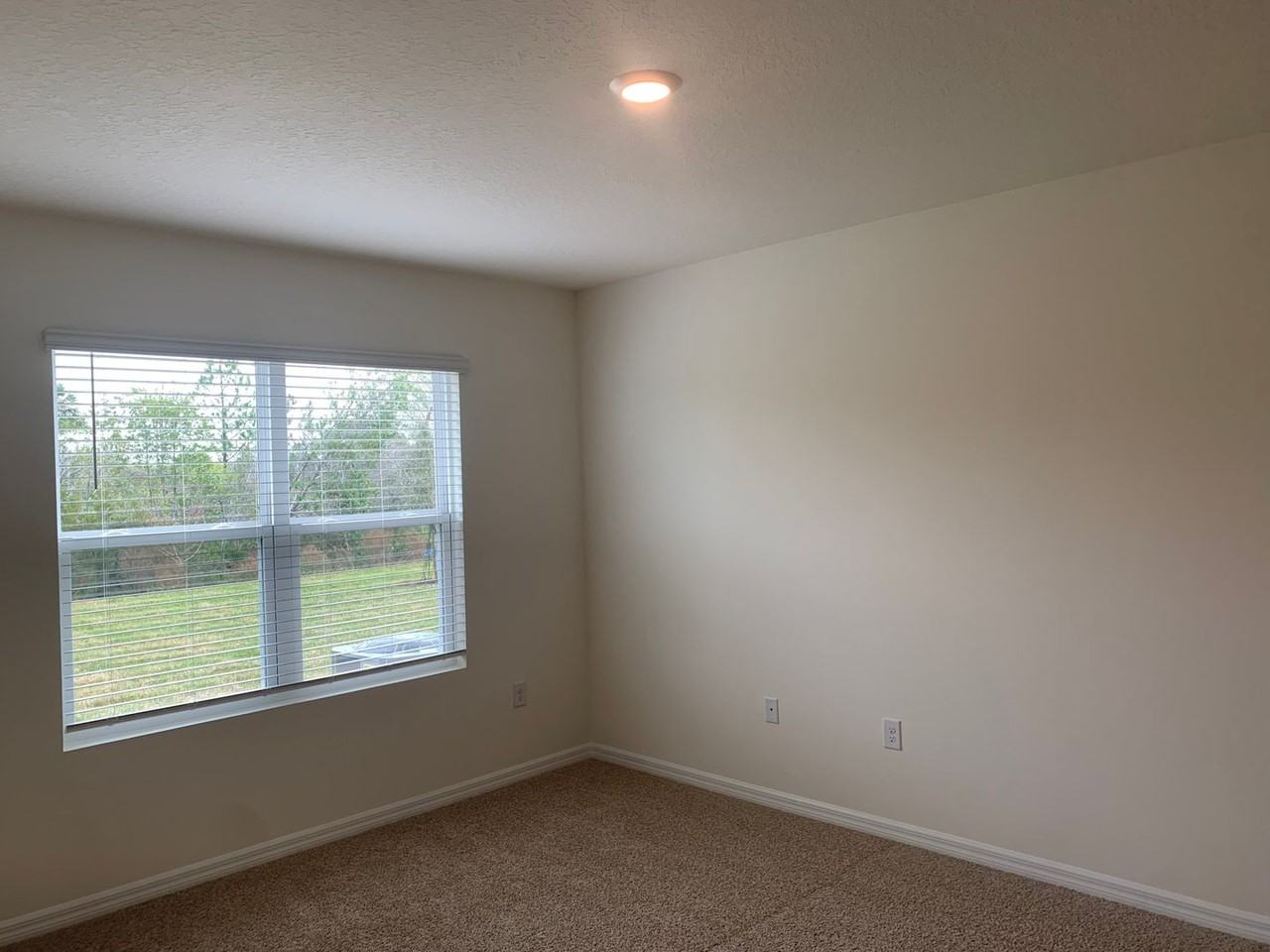 2682 Neverland Dr - Photo 3 of 13