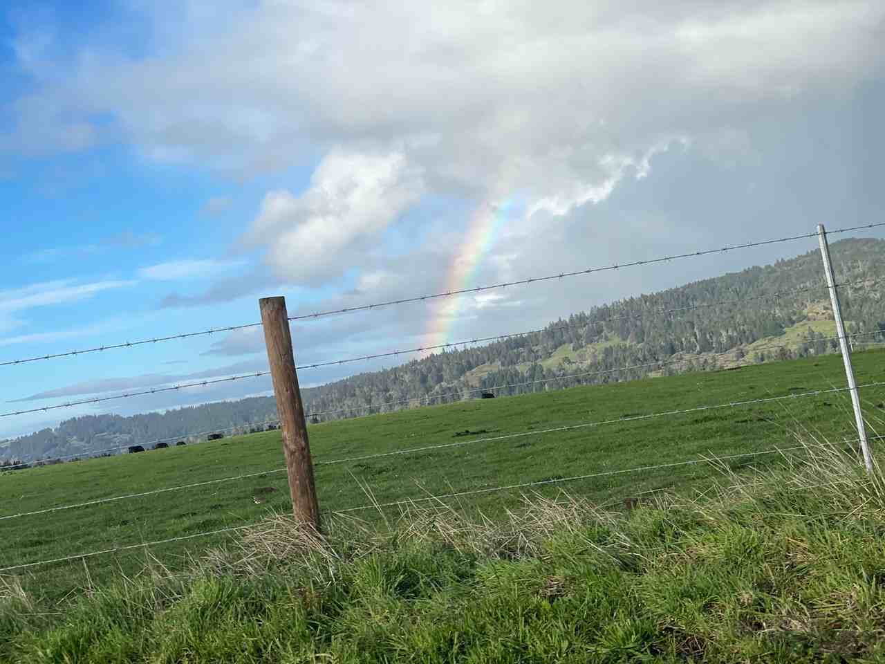 2400 Singley Hill Rd - Photo 2 of 24