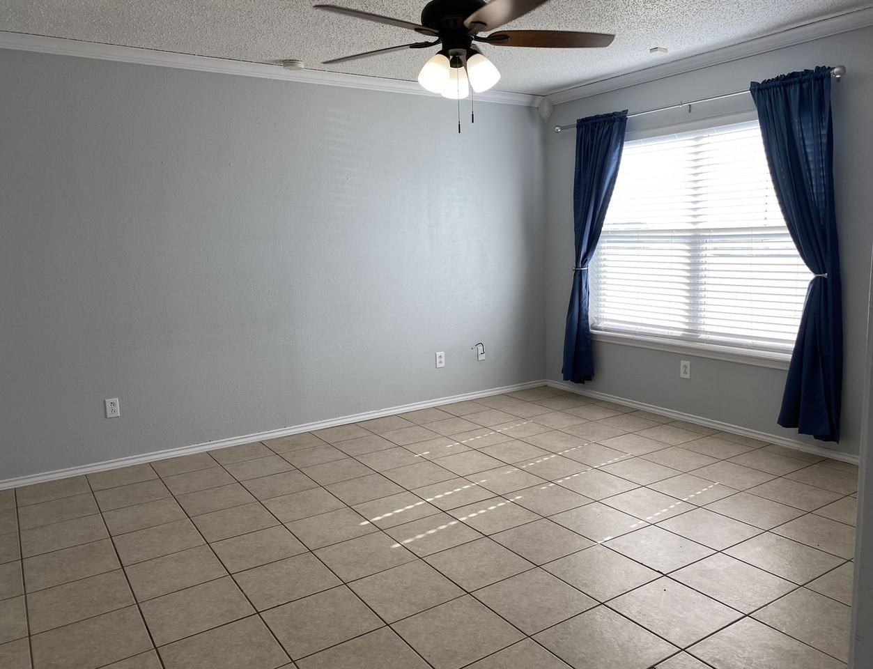 4630 Erskine St - Photo 2 of 12