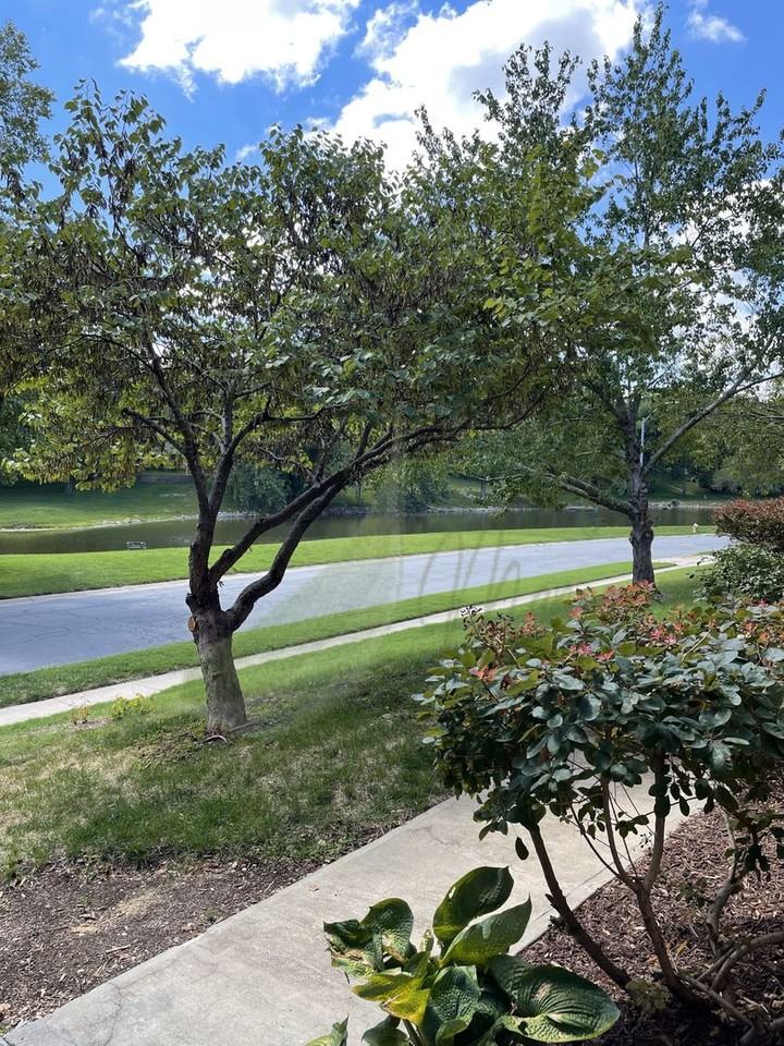 3745 Ne Beechwood Dr - Photo 3 of 38